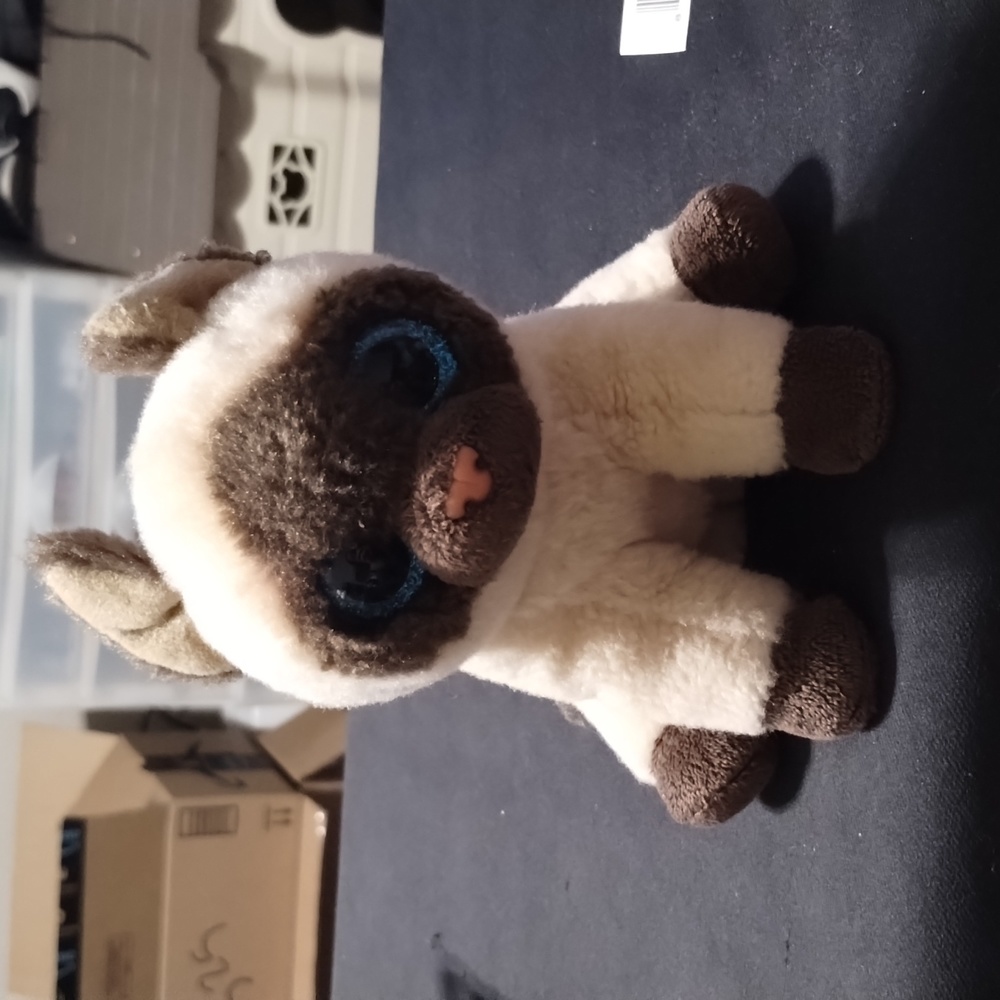 Ty Beanie Baby - JADEN the Siamese Cat (6 Inch)